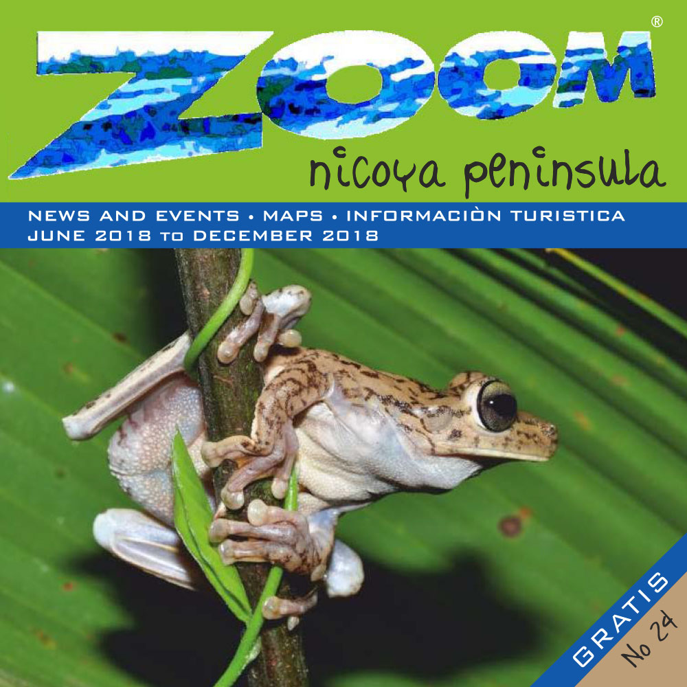 Zoom Magazine No. 24 is now available online!