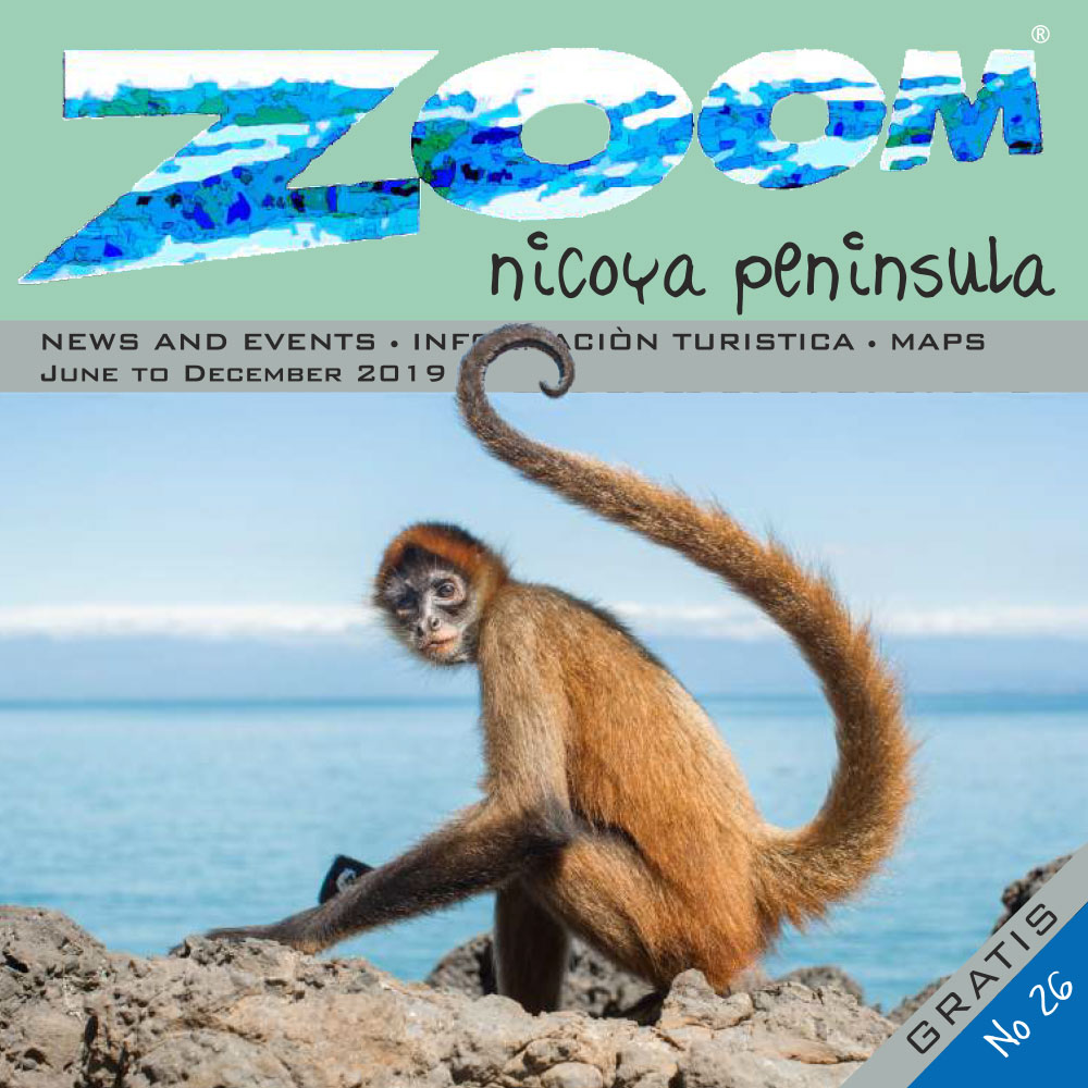 Zoom Magazine No. 26 is now available online!